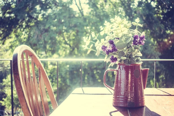 Vase plant with outdoor view — Stock Photo, Image