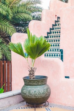 Fas tarzı ile vazo bitki