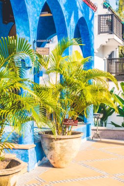 Vazo bitki dekorasyon dış cephe