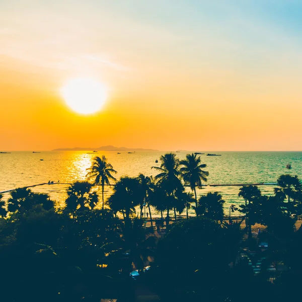Silhouettes de palmiers sur la plage — Photo