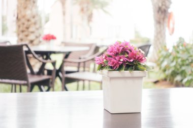 Bougainvillea çiçek vazosu