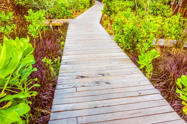 Wooden path for walking — Stock Photo, Image
