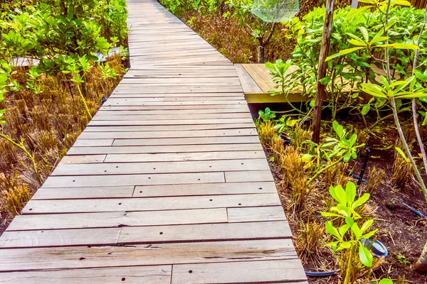 Wooden path for walking — Stock Photo, Image