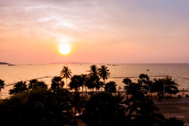 Plajda palmiye ağaçlarının Silhouettes