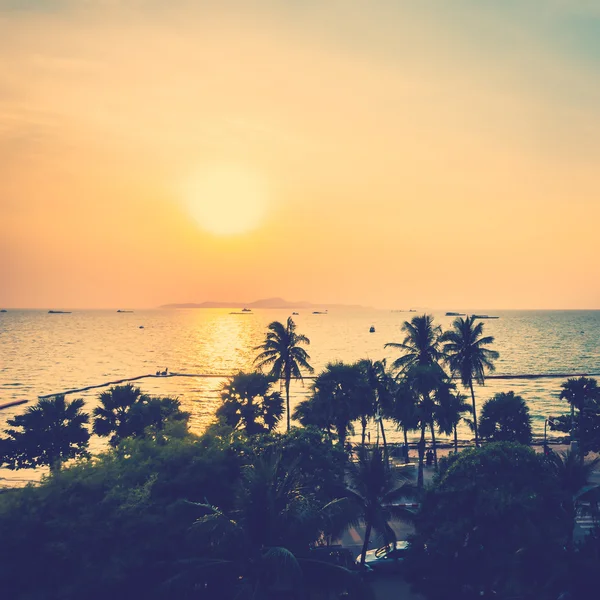 Silhouettes de palmiers sur la plage — Photo