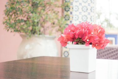 Bougainvillea çiçek vazosu