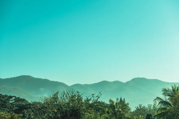 가든의 아름 다운 풍경 — 스톡 사진