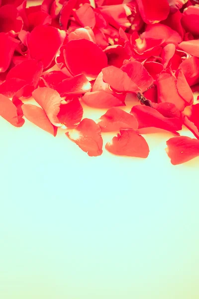 Vintage rose petals — Stock Photo, Image