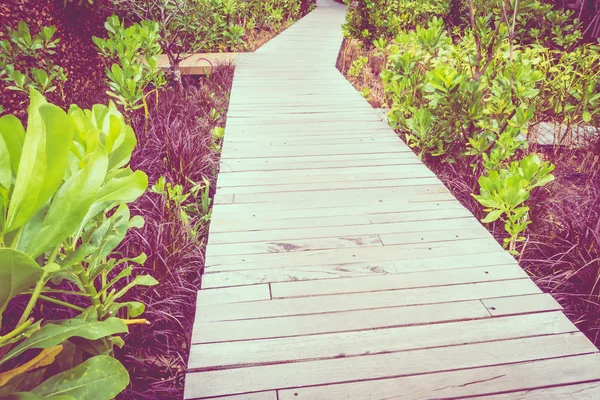 Old wooden path walk — Stock Photo, Image