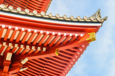 Güzel mimari Sensoji Tapınağı