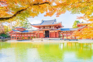 Byodo içinde güzel Tapınağı