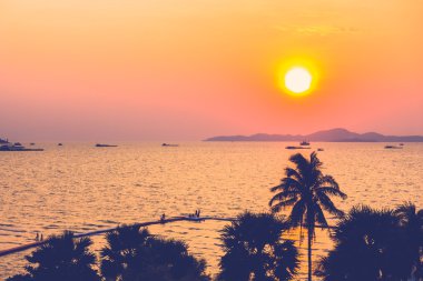 Plajda palmiye ağaçlarının Silhouettes