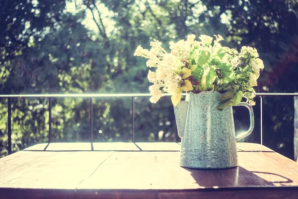 Vase Pflanzendekoration mit Blick nach draußen — Stockfoto