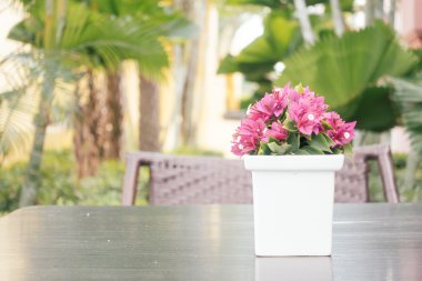 Bougainvillea çiçek vazosu