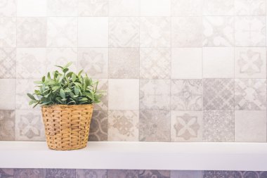 Vazo ve yeşil bitki