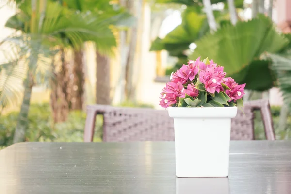 Bougainvillea flower in vase — Stock Photo, Image