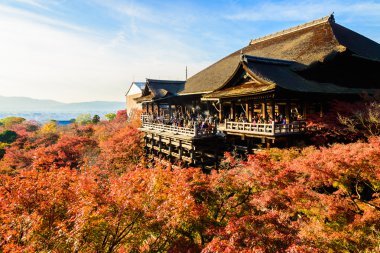 Kiyomizu Dera Tapınağı Kyoto
