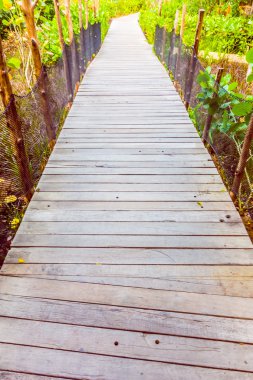 Yürüyüş için ahşap yolu