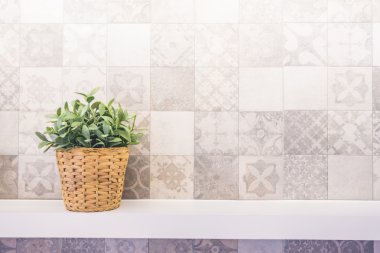 Vazo ve yeşil bitki