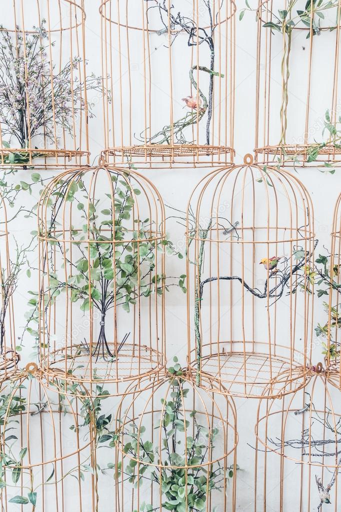 Birds in cages on wall