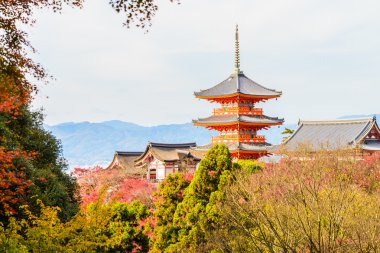 Kiyomizu dera temple in autumn season clipart