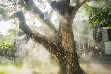 Bangkok / Tayland - 9 Temmuz 2017: Bangkok 'taki Chang Chui Community AVM' de sisli Güzel Ağaç. Chang, Bangkok 'taki Hipster Stili Toplum Alışveriş Merkezi' nde.
