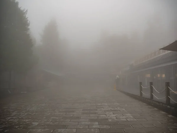 Nebbia Copre Tutta Montagna Tianzi Nel Parco Nazionale Della Foresta — Foto Stock