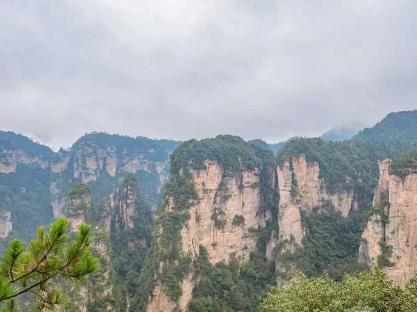 Прекрасна Гора Юаньцзяджі Або Гора Авартар Національному Лісовому Парку Чжанцзяджі — стокове фото