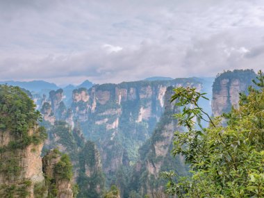 Wulingyuan İlçesi Zhangjiajie Şehri 'ndeki Zhangjiajie Ulusal Orman Parkı' ndaki güzel Yuanjiajie Dağı veya Avartar Dağı.