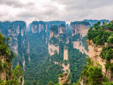 Wulingyuan İlçesi Zhangjiajie Şehri 'ndeki Zhangjiajie Ulusal Orman Parkı' ndaki Yuanjiajie Dağı veya Avartar Dağı 'nın güzel yalley Dağı.