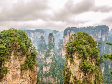 Wulingyuan İlçesi Zhangjiajie Şehri 'ndeki Zhangjiajie Ulusal Orman Parkı' ndaki Yuanjiajie Dağı veya Avartar Dağı 'nın güzel yalley Dağı.