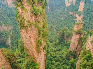Wulingyuan İlçesi Zhangjiajie Şehri 'ndeki Zhangjiajie Ulusal Orman Parkı' ndaki Yuanjiajie Dağı veya Avartar Dağı 'nın güzel yalley Dağı.