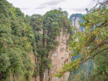 Wulingyuan İlçesi Zhangjiajie Şehri 'ndeki Zhangjiajie Ulusal Orman Parkı' ndaki Yuanjiajie Dağı veya Avartar Dağı 'nın güzel yalley Dağı.
