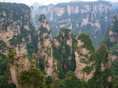 Wulingyuan İlçesi Zhangjiajie Şehri 'ndeki Zhangjiajie Ulusal Orman Parkı' ndaki Yuanjiajie Dağı veya Avartar Dağı 'nın güzel yalley Dağı.