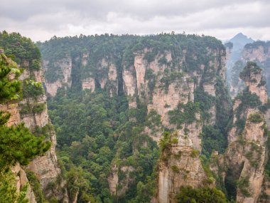 Wulingyuan İlçesi Zhangjiajie Şehri 'ndeki Zhangjiajie Ulusal Orman Parkı' ndaki Yuanjiajie Dağı veya Avartar Dağı 'nın güzel yalley Dağı.