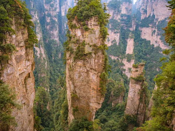 Schöne Berglandschaft Des Yuanjiajie Oder Avartar Gebirges Zhangjiajie National Forest — Stockfoto