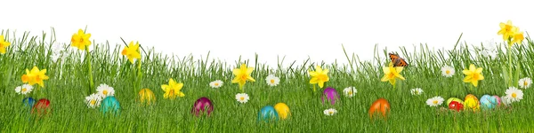 Prado de Pascua con coloridos huevos de Pascua — Foto de Stock