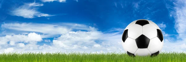 Retro soccer ball on grass — Stock Photo, Image