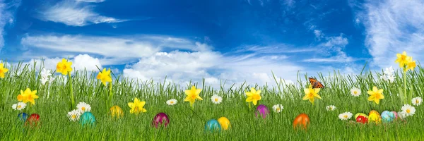 Easter meadow with colorful easter eggs — Stock Photo, Image