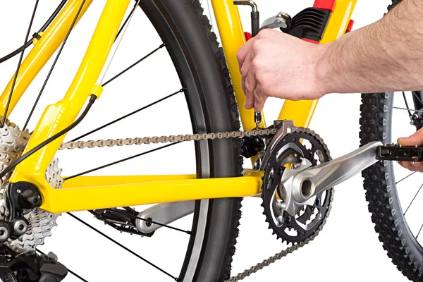 调整齿轮修理自行车 — 图库照片