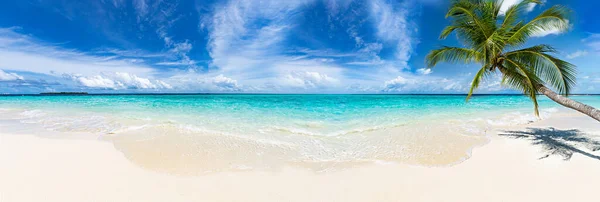 Widok Panoramiczny Tropikalnej Pięknej Rajskiej Plaży Palmą Kokosową Turkusowym Błękitem — Zdjęcie stockowe
