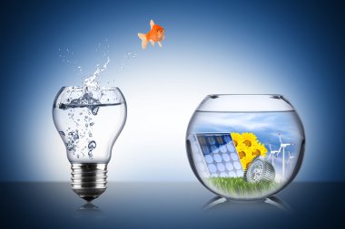 Balık enerji değişim kavramı