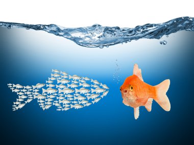 Fisch ekip çalışması kavramı