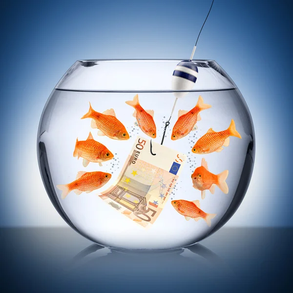 Fish temptation concept — Stock Photo, Image