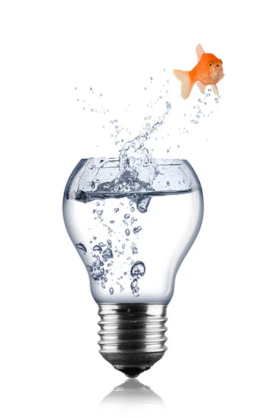 Fish lightbulb concept — Stock Photo, Image