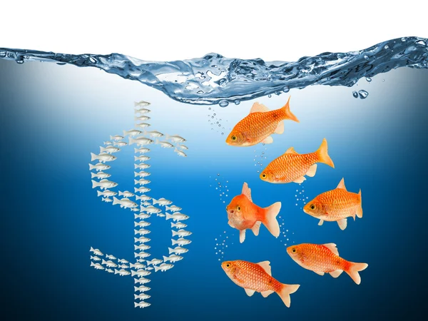 Fisch speculation concept — Stock Photo, Image