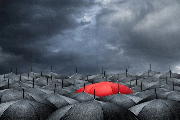 Kırmızı şemsiye kavramı — Stok fotoğraf