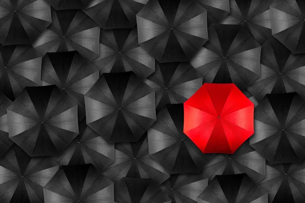 Şemsiye lider kavramı