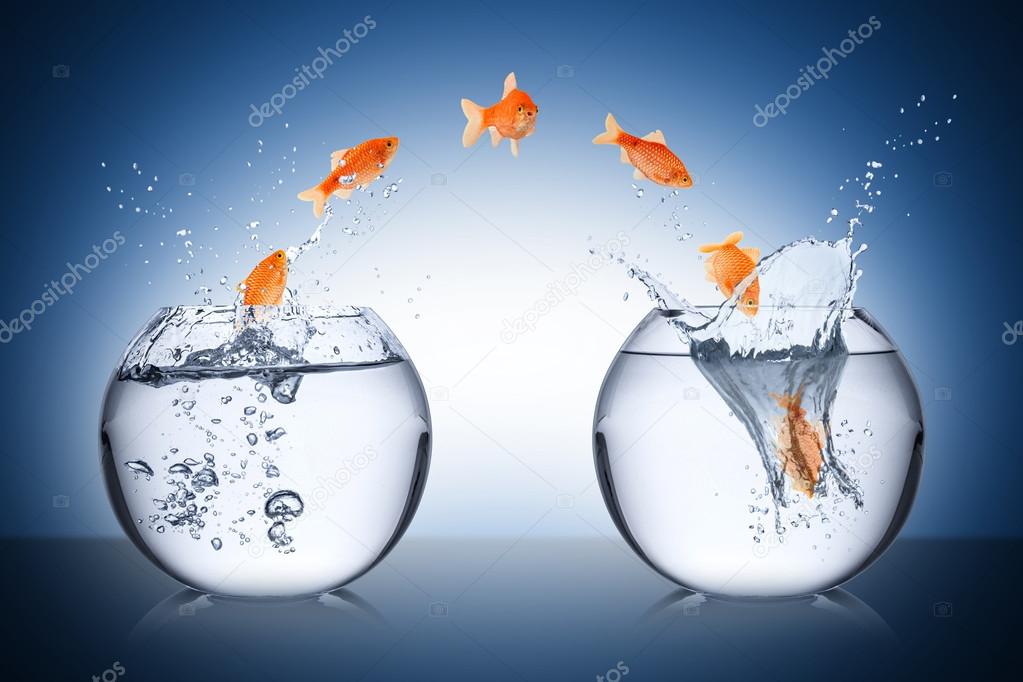 Fish change concept