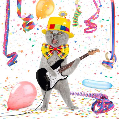 komik gitar kedi